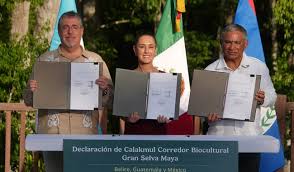 Imagen de apoyo de  Es creado el Corredor Biocultural de la Gran Selva Maya entre Mexico Guatemala y Belice mas grande del mundo