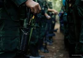 Imagen de apoyo de  Son pedidas unas medidas para proteger a servidores publicos y poblacion civil ante grave situacion de orden publico en Guaviare