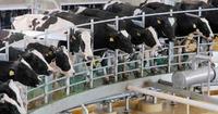 Imagen de apoyo de  Se expidio resolucion para incentivar exportacion de leche y derivados lacteos en las zonas mas afectadas por el conflicto Zomac