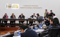 Imagen de apoyo de  Aprueban primer bloque de articulos de reforma a la justicia