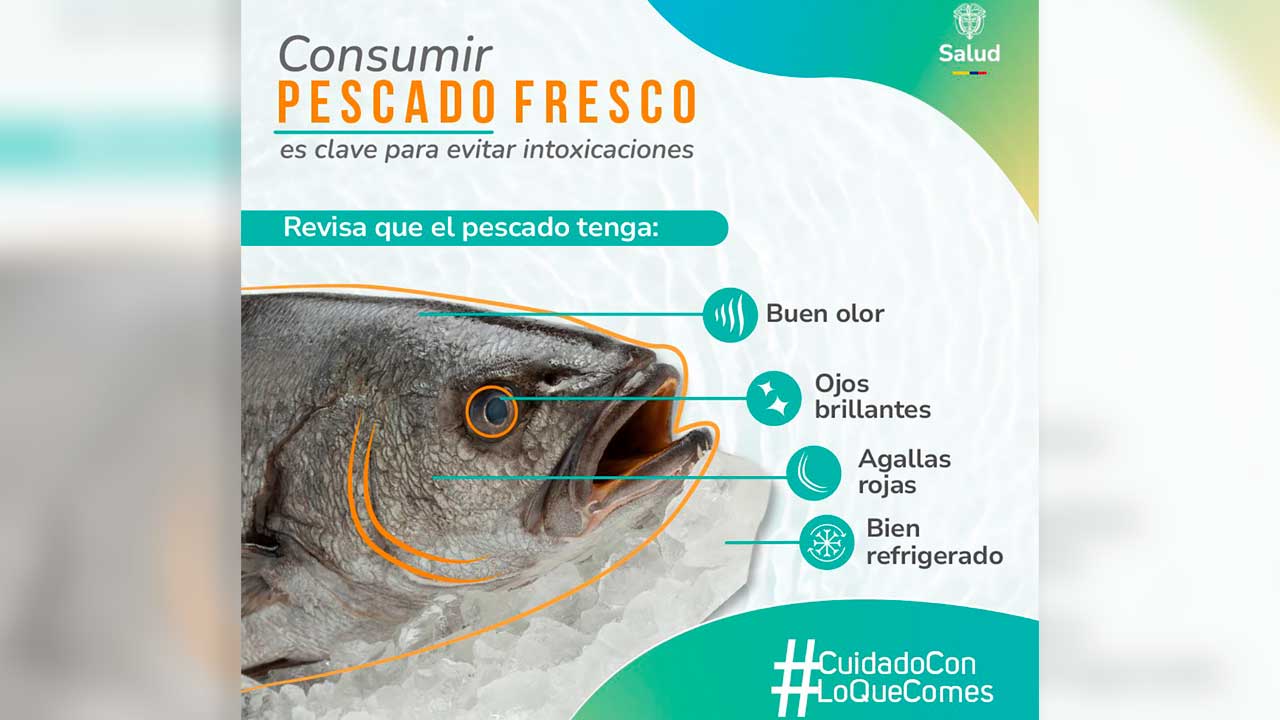 Imagen de apoyo de  Emiten recomendaciones para consumo seguro de pescado y mariscos en Semana Santa