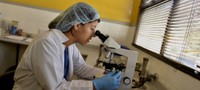 Imagen de apoyo de  No ha surgido ningun hongo nuevo que ponga en riesgo la salud de los colombianos