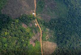 Imagen de apoyo de  Es requerido al Minambiente cumplir con compromiso de intervenir carretera ilegal causante de deforestacion en Chiribiquete