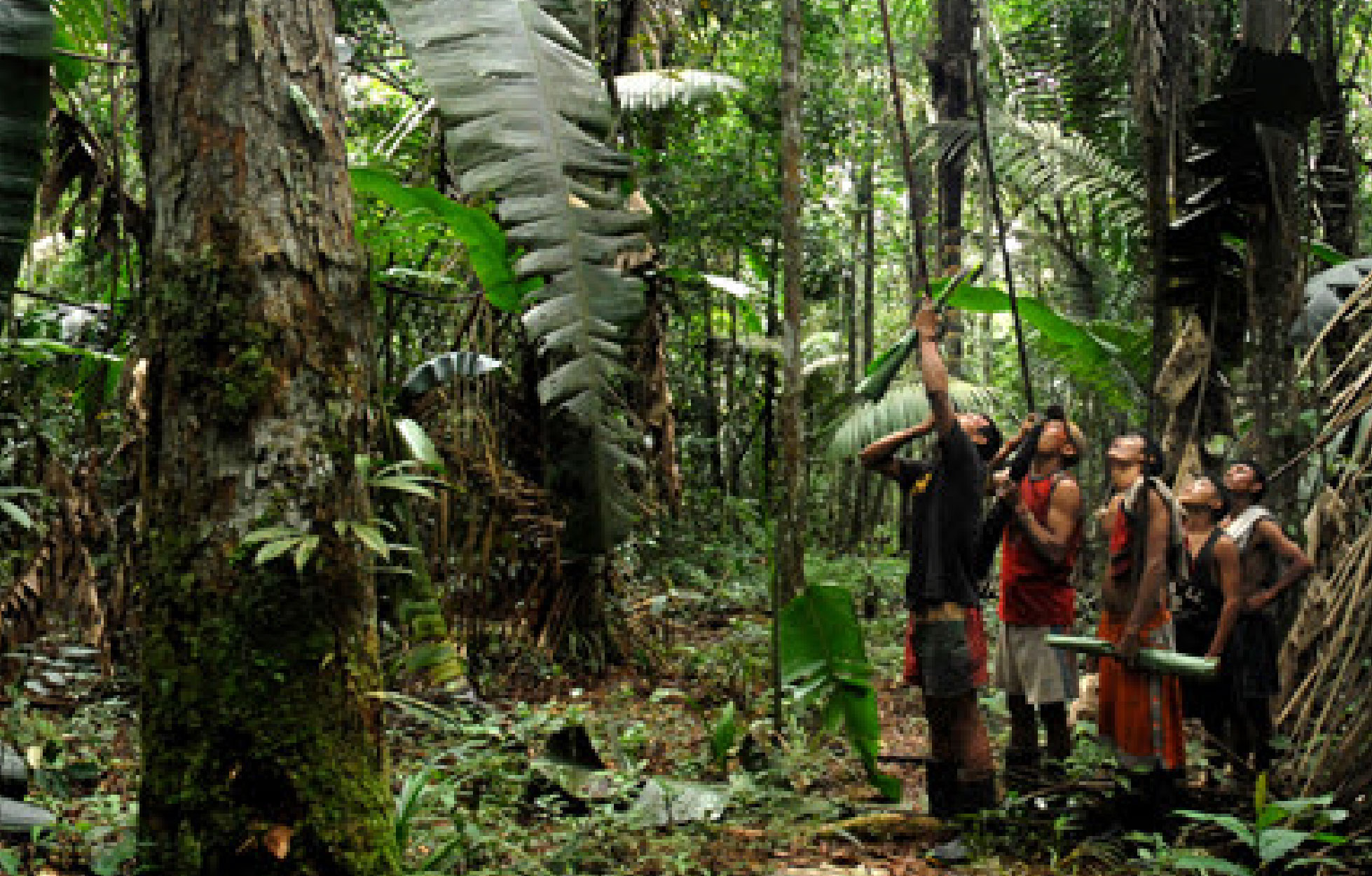 Imagen de apoyo de  Corte ordeno proteccion integral para la comunidad indigena Yajotja del Vichada