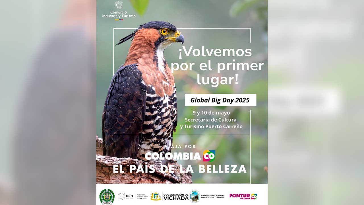 Imagen de apoyo de  Colombia vuelve por el primer lugar en jornada mundial de avistamiento de aves