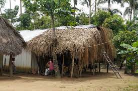 Imagen de apoyo de  Se acoge tutela para proteger derecho a la salud del pueblo indigena JIW