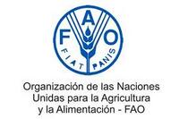 Imagen de apoyo de  Segun la FAO el 71  de la poblacion colombiana sufre de hambre