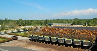 Imagen de apoyo de  Fue impedido pago de credito a Banco Agrario por un fallo fiscal por 4636 millones contra una empresa palmicultora