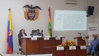 Imagen de apoyo de  Comision de DDHH realiza audiencia por la proteccion a la niez