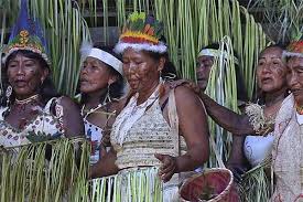 Imagen de apoyo de  Fue solicitado al MinInterior a priorizar la formalizacion de cuatro Entidades Territoriales Indigenas en Vaupes y Amazonas