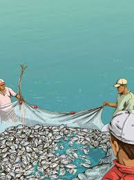 Imagen de apoyo de  Es constitucional el esquema normativo previsto en la Ley General de Pesca y Acuacultura sustentable y es acorde al Derecho Humano y a un ambiente sano