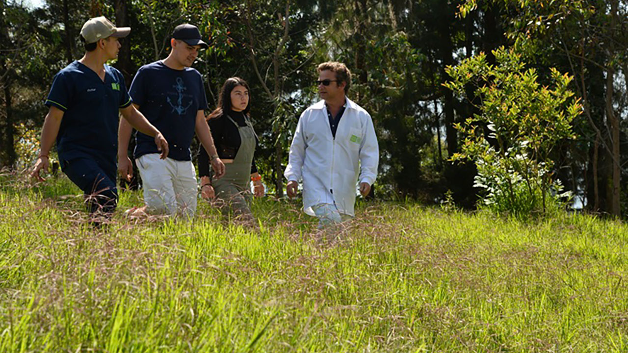 Imagen de apoyo de  Gobierno expide decreto para dignificar el trabajo en universidades publicas que prioriza carrera administrativa concursos de meritos