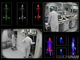 Imagen de apoyo de  Se amplia el plazo para el cumplimiento de los requisitos de obtencion del certificado de Buenas Practicas de Elaboracion de Radiofarmacos BPER