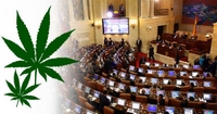 Imagen de apoyo de  Colombia Penalizar el consumo de drogas o regularlo