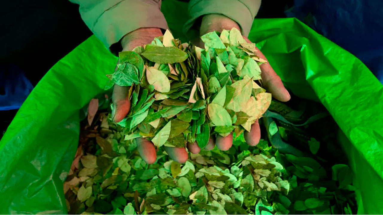 Imagen de apoyo de  Cancilleria aborda usos licitos de la hoja de coca y politica migratoria de Espaa