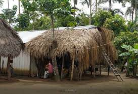 Imagen de apoyo de Es destituido e inhabilitado el exalcalde de San Jose del Guaviare por irregularidades en el contrato para la construccion de viviendas para 7 familias indigenas por 9 aos
