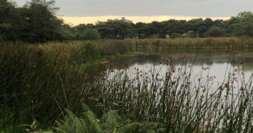 Imagen de apoyo de  Turismo en Bogota conoce el tour por humedales Cordoba Tibabuyes y Jaboque