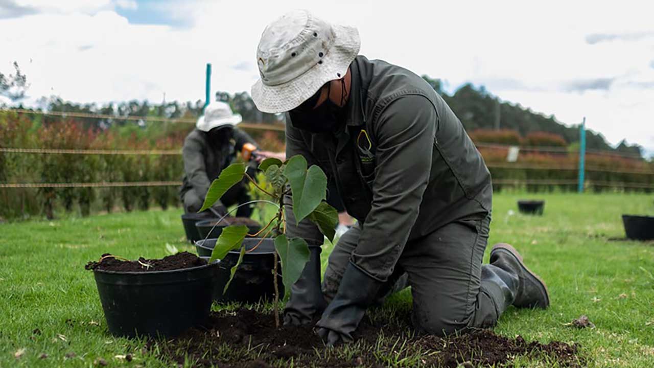 Imagen de apoyo de  Gobierno reglamenta Ley de Areas de Vida para fortalecer restauracion ecologica en el pais