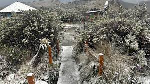 Imagen de apoyo de  Fue hecho un llamado para acatar la medida provisional de urgente de pico y placa para preservar el Parque Nacional Natural Los Nevados