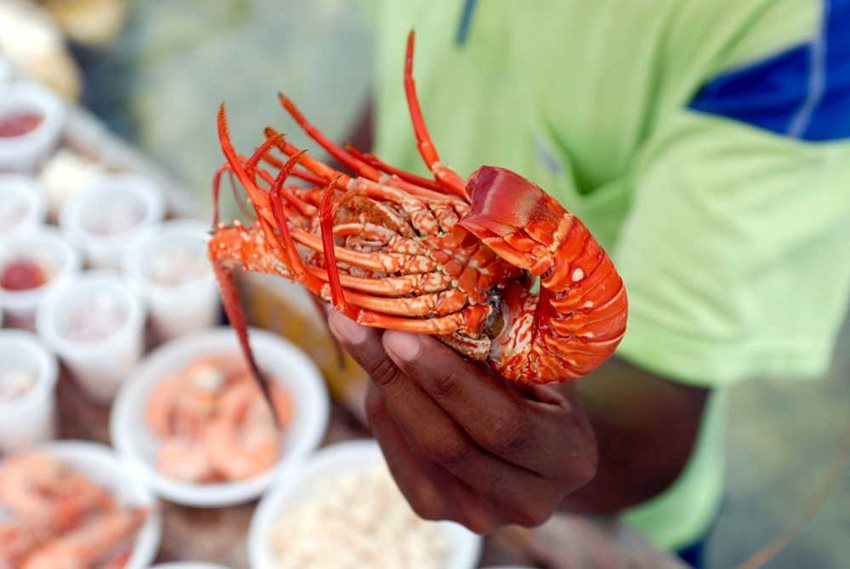 Imagen de apoyo de  Muestra Gastronomica del Caribe Insular en San Andres entre el 2 y el 5 de noviembre