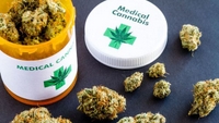 Imagen de apoyo de  Cannabis medicinal fuente potencial de crecimiento economico para Colombia