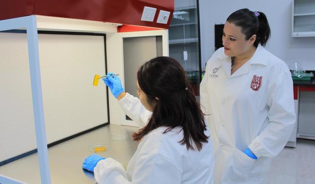 Imagen de apoyo de  La  SEP simplifica el tramite de cedulas profesionales cedulas fisicas mantienen su vigencia