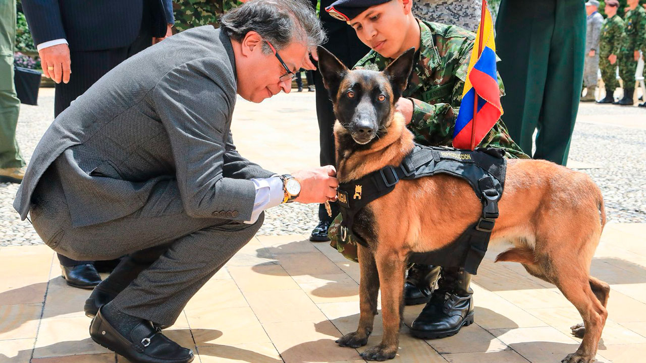 Imagen de apoyo de  Presidente Petro sanciono las leyes Angel y Lorenzo que fortalecen la proteccion animal en Colombia