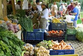 Imagen de apoyo de  Se establecen mecanismos para promover la participacion de pequeos productores locales agropecuarios y de la agricultura campesina familiar y comunitaria en los mercados de compras publicas de alimentos
