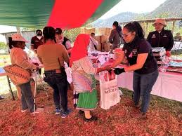 Imagen de apoyo de  Es beneficiada Tianguis del Bienestar a 8 mil 993 familias de Acapulco
