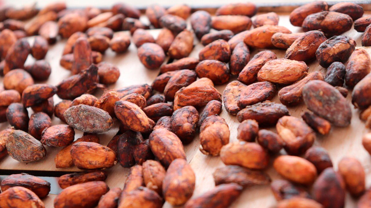 Imagen de apoyo de  Gobierno impulsa produccion de cafe y cacao y mejora la infraestructura vial en el sur del Tolima