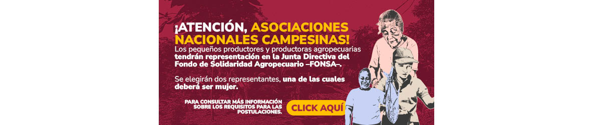Imagen de apoyo de  Proceso de eleccion de los representantes de pequeos productores ante la Junta Directiva del FONSA