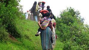 Imagen de apoyo de Se amparan los derechos al territorio de dos comunidades indigenas en Antioquia