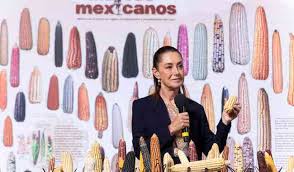 Imagen de apoyo de  Es anunciado el programa Sin maiz no hay pais para producir con bienestar