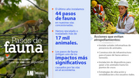 Imagen de apoyo de  En la ejecucion de los proyectos viales que lidera la ANI se ha logrado la proteccion de mas de 17 mil animales