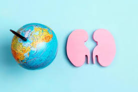 Imagen de apoyo de  En el dia Mundial del rion Minsalud promueve estilos de vida saludable para la proteccion de la salud renal