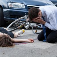 Imagen de apoyo de  Es obligacion de guardia custodia y control que sobre las cosas animadas o inanimadas ha de ejercer su dueo tenedor efectivo o poseedor natural