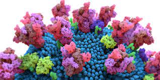 Imagen de apoyo de  Se han detectado casos de infeccion por una de las tres variantes de preocupacion en 32 paises de las Americas