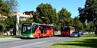 Imagen de apoyo de  Investigacion por Transmilenio en la Septima y solicito al IDU suspender el proceso