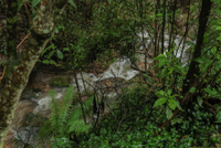 Imagen de apoyo de  Alcaldia solicita a la CAR que mantenga abierto sendero a la Quebrada La Vieja