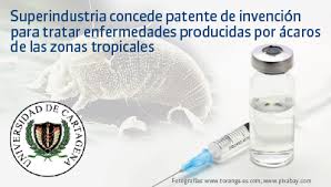Imagen de apoyo de  Superindustria concede patente de invencion para tratar enfermedades producidas por acaros de las zonas tropicales