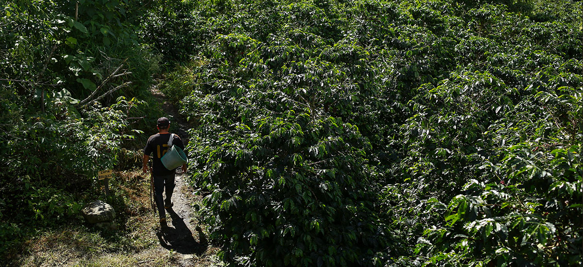 Imagen de apoyo de Procurador General de la Nacion presidira mesa de trabajo que revisara acuerdos en materia agraria