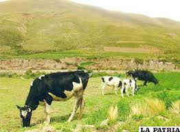 Imagen de apoyo de  Se compila y modifica la reglamentacion y operatividad del Fondo Agropecuario de Garantias FAG