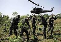 Imagen de apoyo de Colombia activa sistema Integrado de Informacion y Monitoreo Antinarcoticos