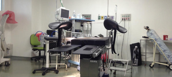 Imagen de apoyo de  Nombres de cirujanos plasticos falsos seran publicados