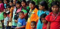 Imagen de apoyo de  Reflexion y armonizacion de comunidades indigenas