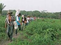 Imagen de apoyo de  Toda persona que sea victima del conflicto armado en Colombia tiene derecho a que se le respeten protejan y garanticen sus derechos constitucionales fundamentales derivados de tal condicion