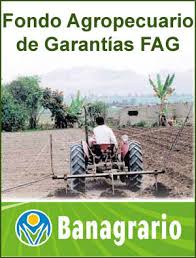 Imagen de apoyo de  Se aprueban el Plan Anual de Garantias el esquema de provisiones y reservas y el presupuesto de gastos de administracion e inversion del Fondo Agropecuario de Garantias FAG para el ao 2016