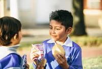 Imagen de apoyo de Superindustria formula pliego de cargos por colusion entre oferentes de frutas del Programa de Alimentacion Escolar PAE en Bogota