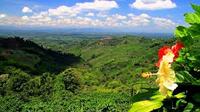 Imagen de apoyo de  Paisaje cafetero sera ante el mundo patrimonio cultural de la humanidad