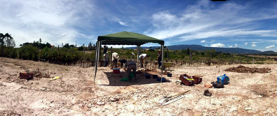 Imagen de apoyo de  Historico hallazgo Paleontologico en Villa de Leyva
